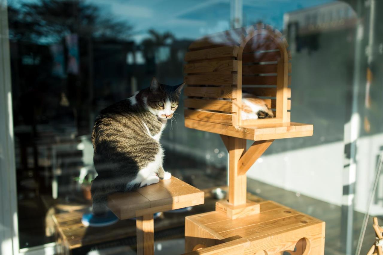 Hello Make Yourself At Home เขิ่นติง ภายนอก รูปภาพ