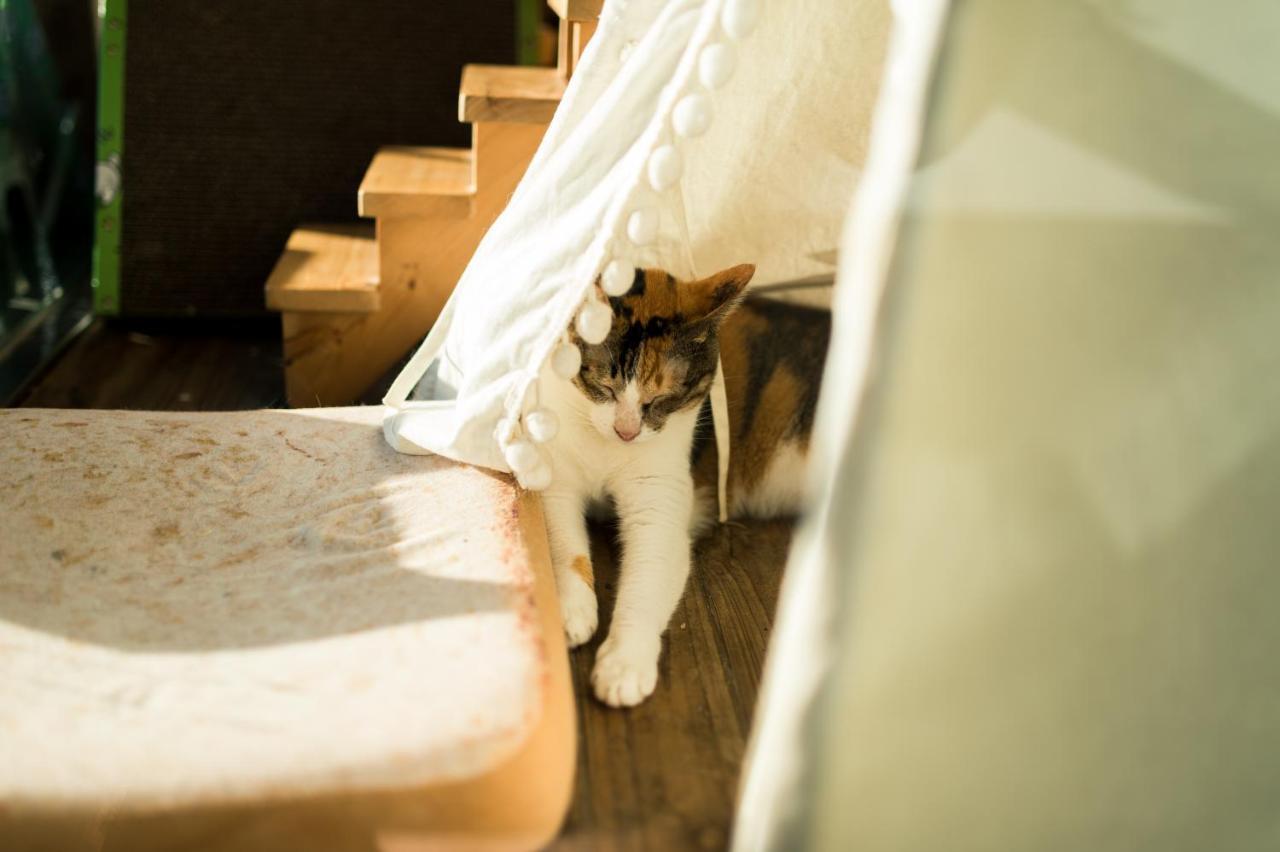 Hello Make Yourself At Home เขิ่นติง ภายนอก รูปภาพ